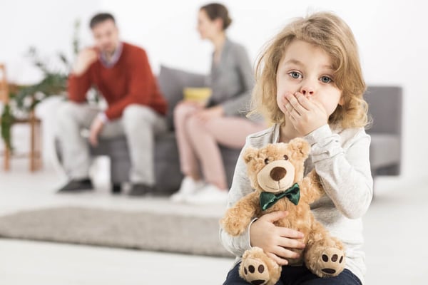 Parenting Plans in High Conflict Situations